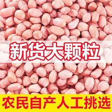 花生米现剥新白沙花生仁生新货特级粉皮新鲜大粒不带壳榨油花生仁