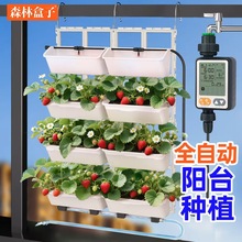 森林盒子阳台种菜盆挂架立体多层种植自动定时器智能浇水系统全套
