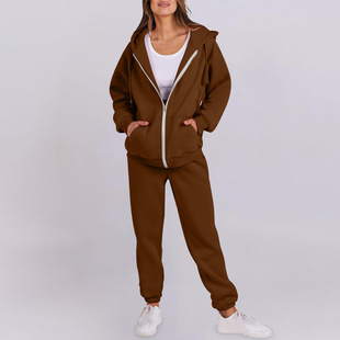 Cross-Border Autumn and Winter New Hooded Velvet Sweatshirt Women's Casual Loose Top Jacket Couple Suit Hoodie Ready Stock