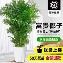 ���FҬ�Ә����Դ��;Gֲ�Pβ��͏d�k���҃ȾGֲ�ļ����B�����՚�