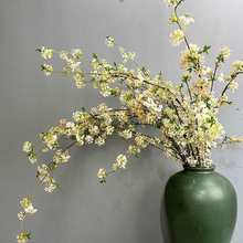 桂花 桂花樹木犀九里香軟裝花藝線條七里香婚禮用品攝影道具