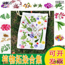 ֲ������Ⱦ�r�� ���ܲ��� �ز����N����ӡ�������r�Gֲ���~Ѻ��