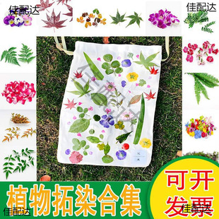 ֲ������Ⱦ�r�� ���ܲ��� �ز����N����ӡ�������r�Gֲ���~Ѻ��