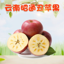 云南昭通冰糖心丑苹果 5斤新鲜酸甜冰糖心红富士当季水果非阿克苏