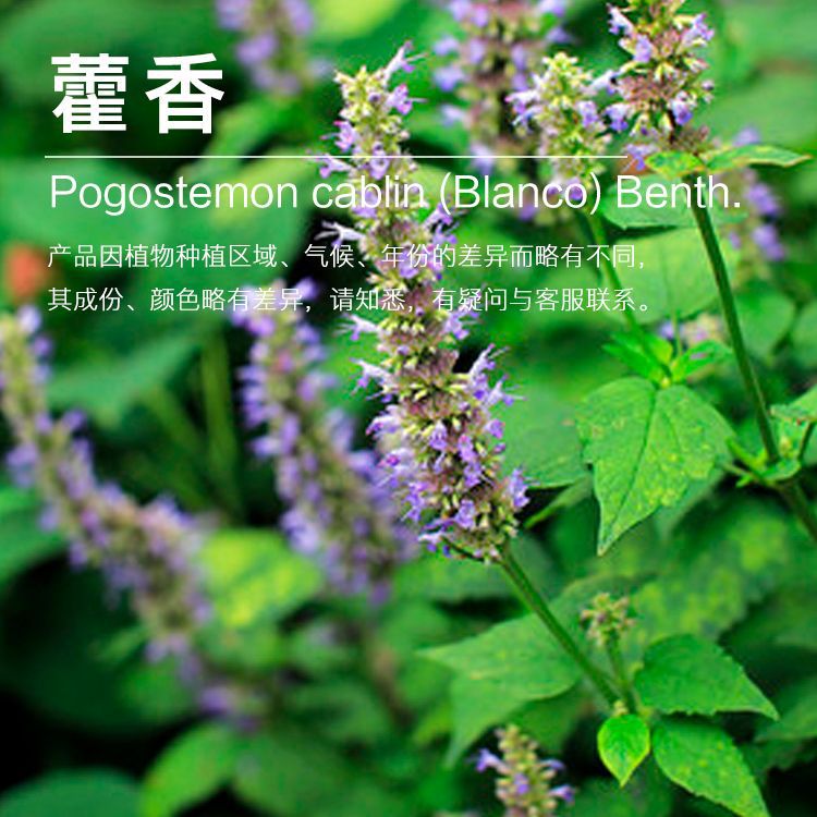 ��޽�㴿¶ ��޽����ȡ��  ��޽�㴿¶  �������� ��ӭ��ѯ