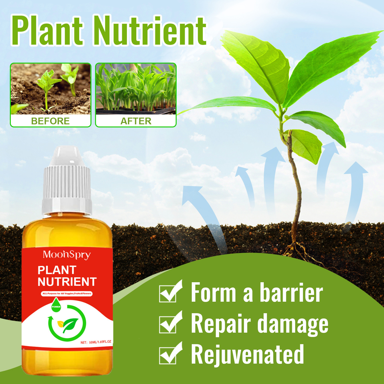 Active Enzymes for Plants