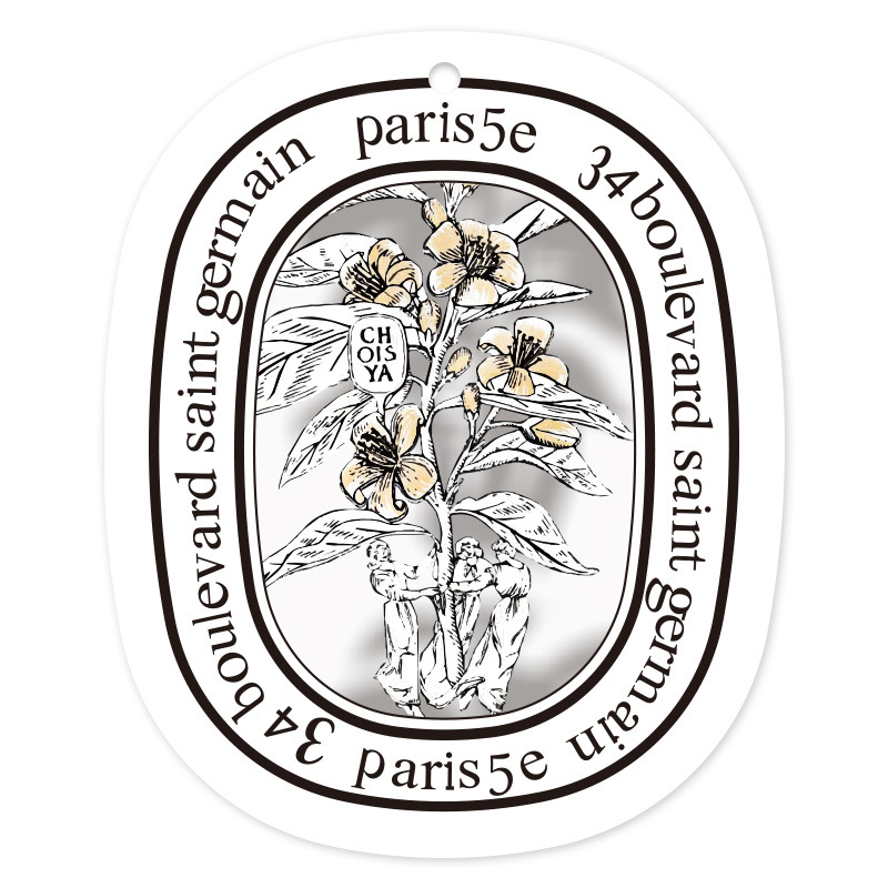 멕시코 오렌지-감귤류