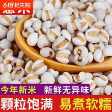 ޲����޲������؛�F��޲���׿ɴ���ඹ�t������s�Z�ּZ���Ҝ�