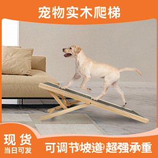 ���R�d���N ����б���� ɳ�l�����ݿ��{�µ��������ӾӼҌ���ľ��