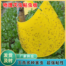 �p���S�{ճ�x���T�x�� �Sɫմ�x���r�I�E�R�@�ֲ��x�N�Tճ�x��