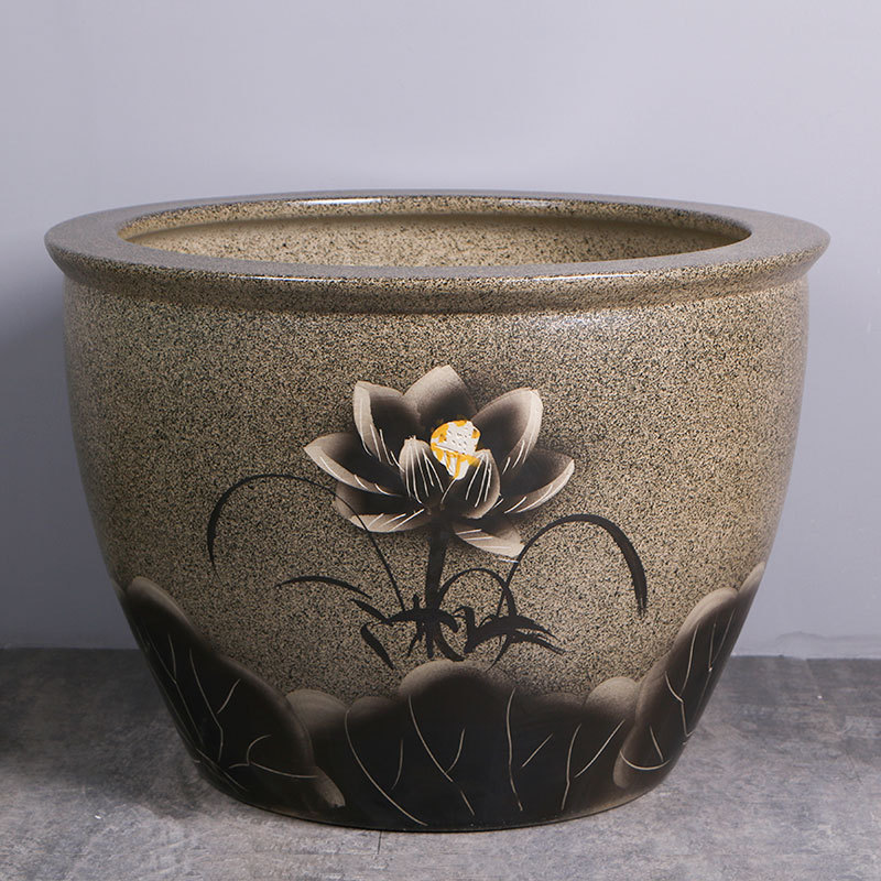 մɴ׹ŷڹɻ˯׹˾ͥԺڼˮ