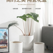 ��ɫ��̖�ڏ��մɻ�����ÿ͏d�p�ݸаٺ���������lؔ��