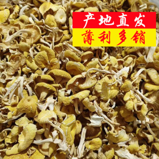 �u�;��a��ֱ�N���l�θ����SĢ2-3���S�𹽸�؛�������خaĢ��