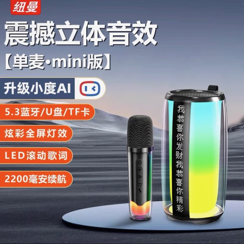 纽曼蓝牙音箱K歌双麦克风小度语音歌词显示便携卡拉ok音响 K191|undefined