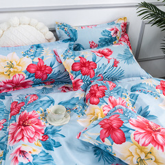 廠家直銷新款大阪親膚磨毛四件套長絨棉套件團購會銷禮品支持代發