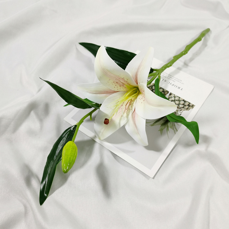 IMG_20220212_112646_副本