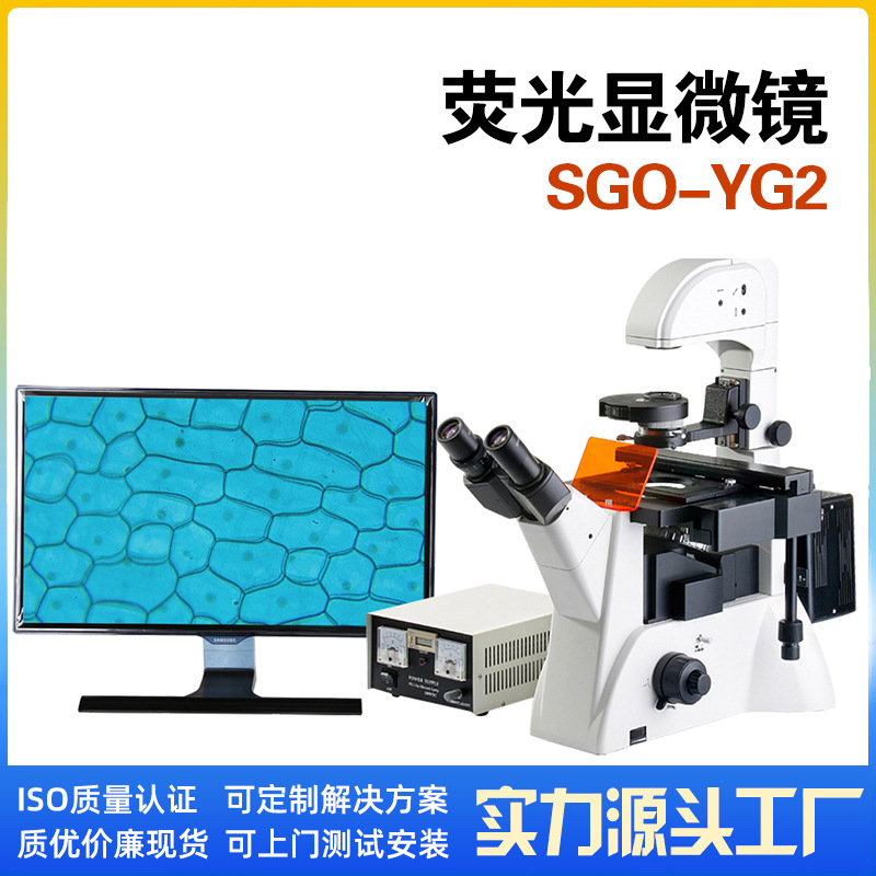 显微镜厂家 研究型荧光生物显微镜SGO-YG2 专业检测荧光物质