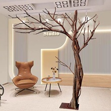 �ݘ��S䌍ľ����؈�����Bվ���׃��@���ߘ���ͼ٘��b�