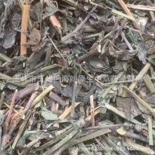 �����]��һ�c�t����ݼt�^���~�¼t ÿ��500�� ��ʮ��С�r�l؛