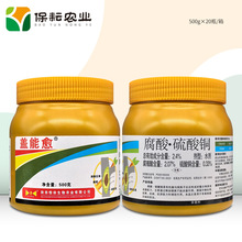 �a�� �w���� 2.4%���������~ 500g �O���丯���� ��Ʒ�TĨ���τ�