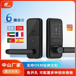 Foreign Trade Cross-border Lock Smart Fingerprint Door Lock Anti-theft Home Rental Apartment Homestay Home Remote Electronic Code Lock