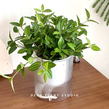 �ʯ�����m����ˮ�໨�ܾGֲ���ԑ��˺��B�����՚ⳣ�G�������m