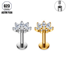 G23⁺Ͻ�F136ᔶ���ʯ�r�Ђ��ԃ��Ŷ�����w����ֲ�뼉�Ʒ