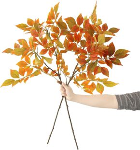 Abyjifar 2 �������＾�Gɫֲ��,36 Ӣ��(�s 91.4 ����)������o