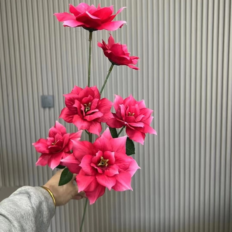 로즈 레드
