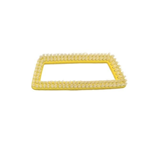 1 transparent color-specific replaceable brush head