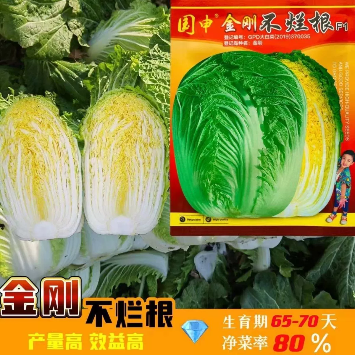 Китайская Капуста Семена Теплостойкий и морозостойкий Зима Китайская Капуста Семена Овощных Культур Четыре Сезона Семена Рапс Высокая Урожайность Большое Количество