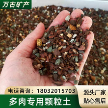多肉植物用土 多肉植物用土品牌 图片 价格 多肉植物用土批发 阿里巴巴