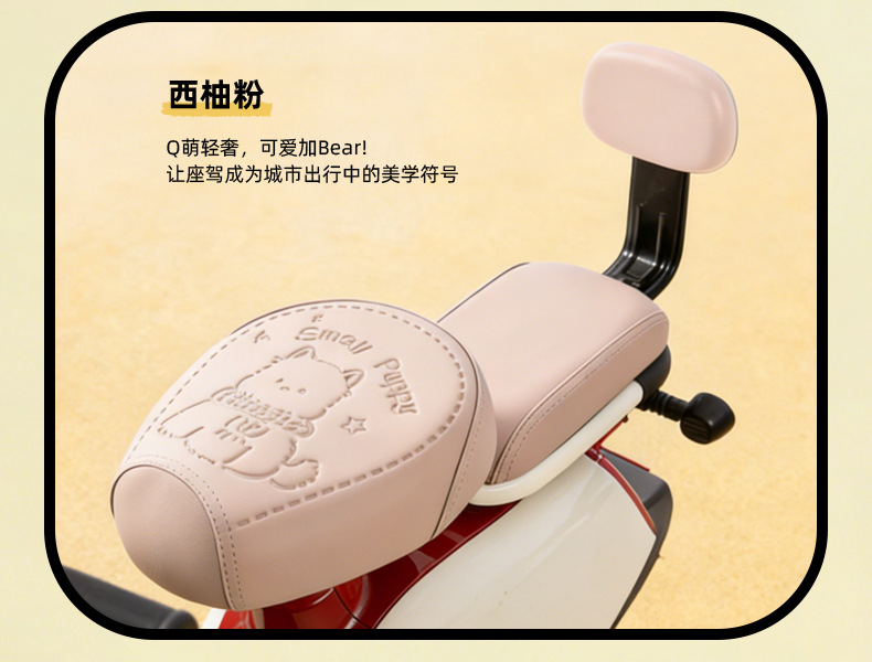 Simple Style Electric Vehicle Seat Cover, Waterproof and Sun-Proof, Suitable for Small Electric Bikes, Compatible with Yadea, Tailg, and Aima