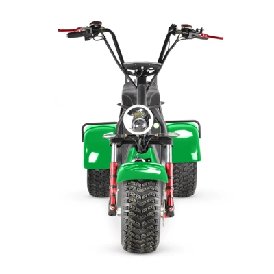 Eec Adult Mobility Scooter Dual-Drive Elektrikli motosikletlər