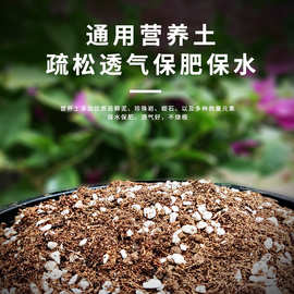 园艺土 花草蔬菜绿化多肉用育苗基质 园艺栽培育苗花用营养土