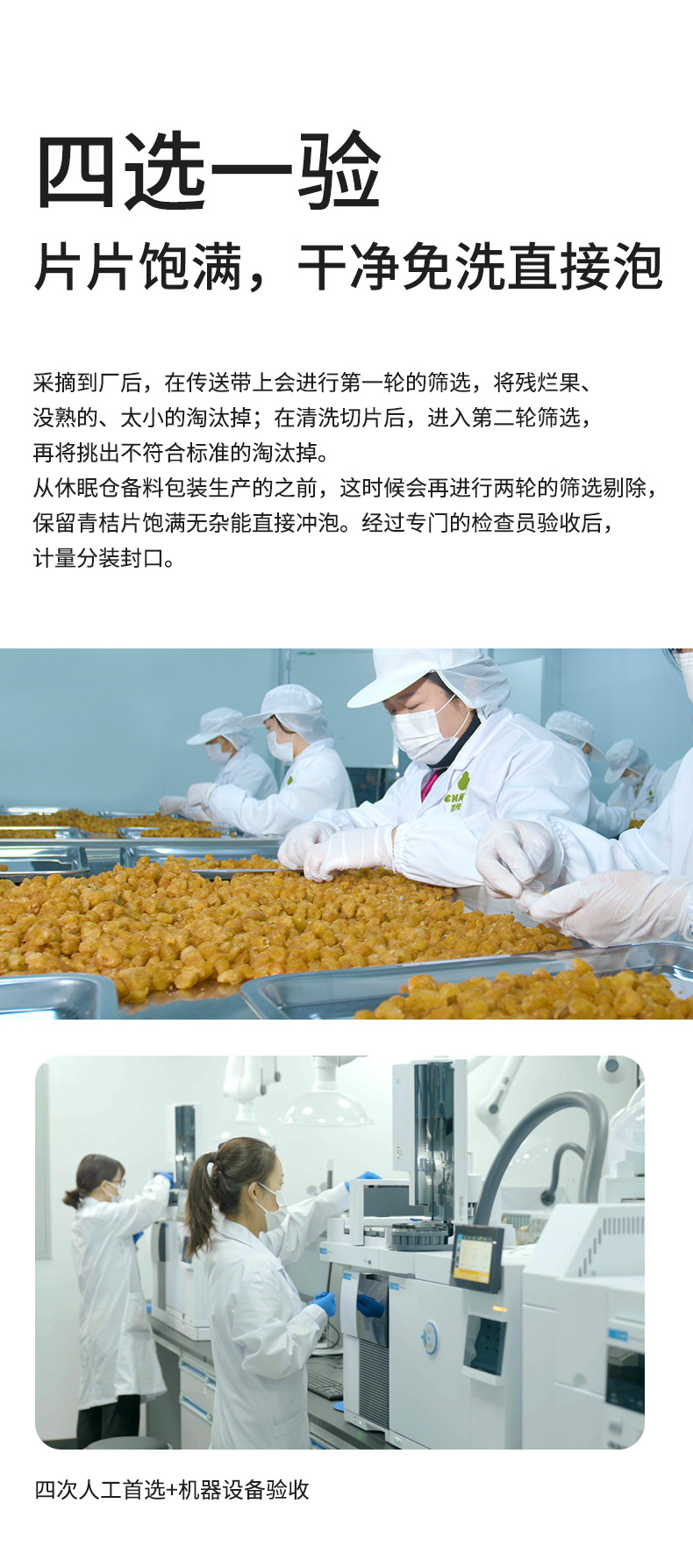 Freeze-Dried Green Kumquat 90g Jar Qing Ju Citrus Tea Sugar-Free Herbal Drink in use