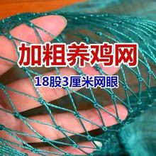 加粗养鸡网家禽养殖网山鸡网拦鸡网山鸡网菜园网护栏网