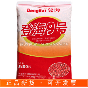�Ǻ�9̖�����s���N��������������׷N�Ӽt�S�R�X������ļ�����