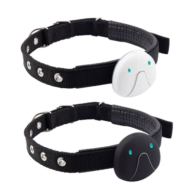 Locator WiFi Positioning Dog: GPS Locator