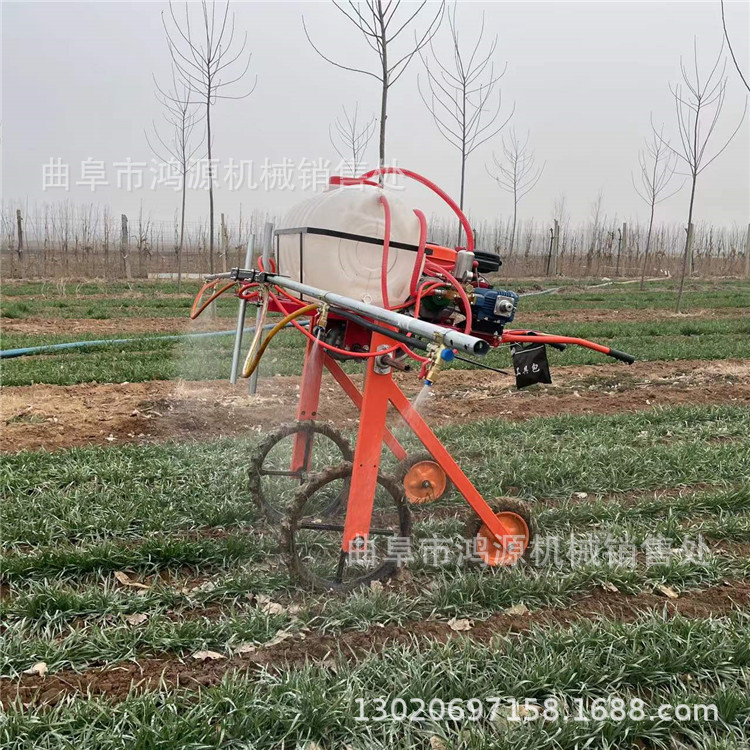 汽油手推式喷药机 农用小麦玉米地打药机