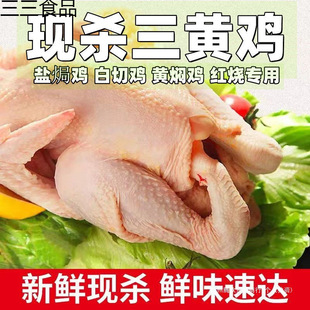 ���S�uͯ���u���r�F�����r��ֻ�u���u�ߵ��u�u�ذ��b����̫���r��