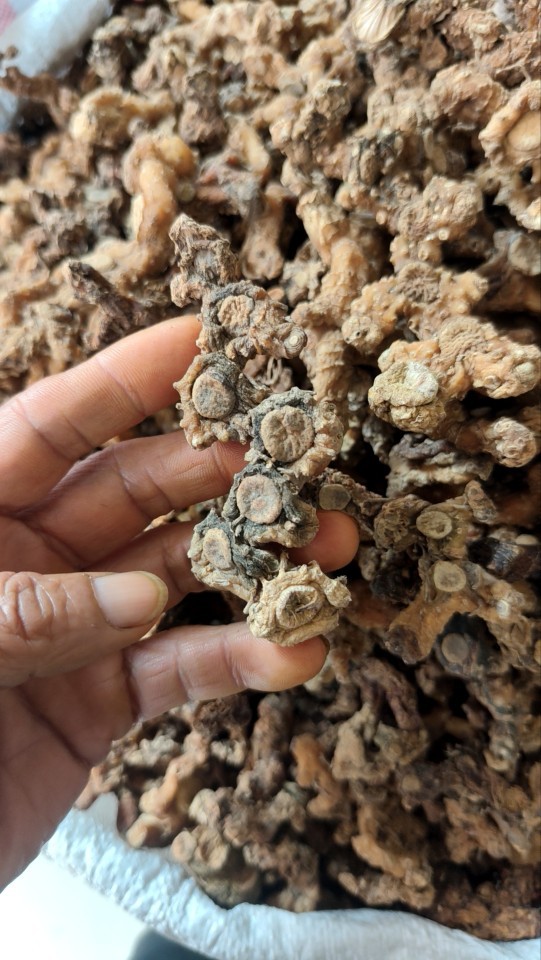 Dried Huangjing Polygonatum Root 500g Guizhou Mountain Herb for Wine Infusion and Cooking key features