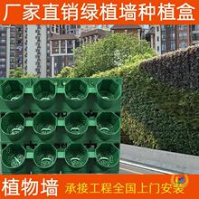 ��ֲ���ֱ�G���Nֲ�ۻ���������w�@�־Gֲ�����̱ڒ�����Nֲ