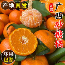 ���ڏV��ɰ�������rˮ��5�ﮔ���۽۽���ɳ�ǽ�����ؕ��������]