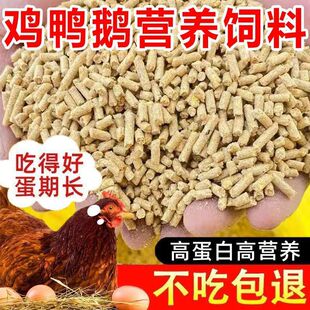 ���u����w���uʳ���ZҰ���~������Ϯa���u�r�u�_����ȫ�r���