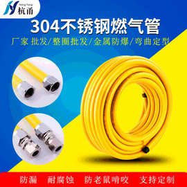 304不锈钢燃气管家用防爆煤气天然气波纹管3分4分6分燃气金属软管