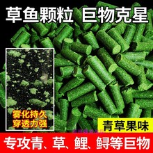 钓鱼巨大物青草鲤鱼专用黑坑野钓原塘打底窝皮筋挂钩果味颗粒饵料