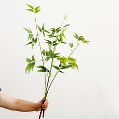 陽を含む竹の枝は竹の葉の毛竹の枝をシミュレーションして花の造景をシミュレーションします。