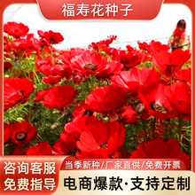 ۻNļ׷N׻N̨ͥԺ҃⻨ֲN