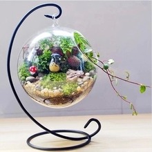 2016年新款微景观苔藓铁架花瓶透明悬挂玻璃花瓶婚庆玻璃瓶生态瓶